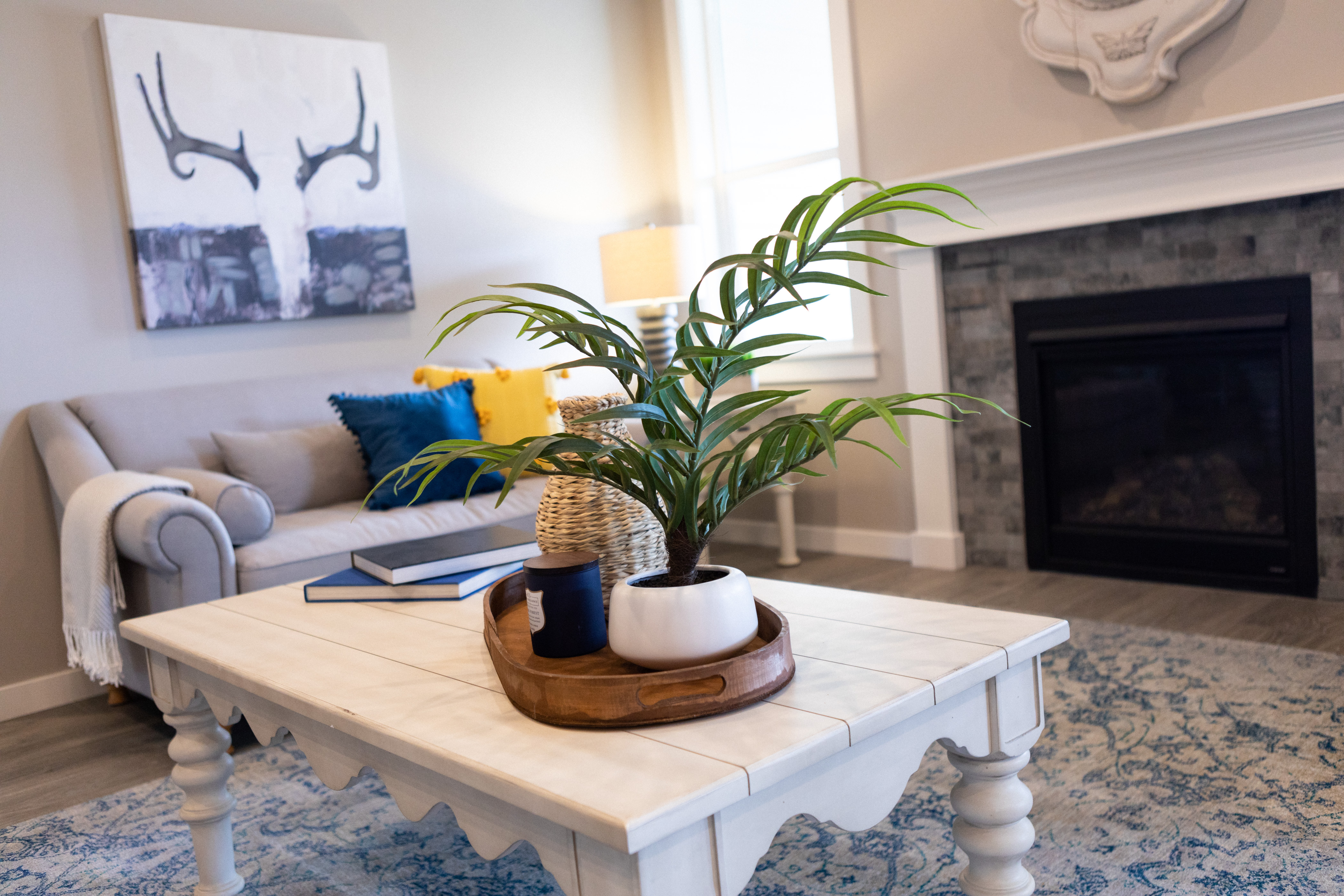 Decorating with Plants: Transform Your Space